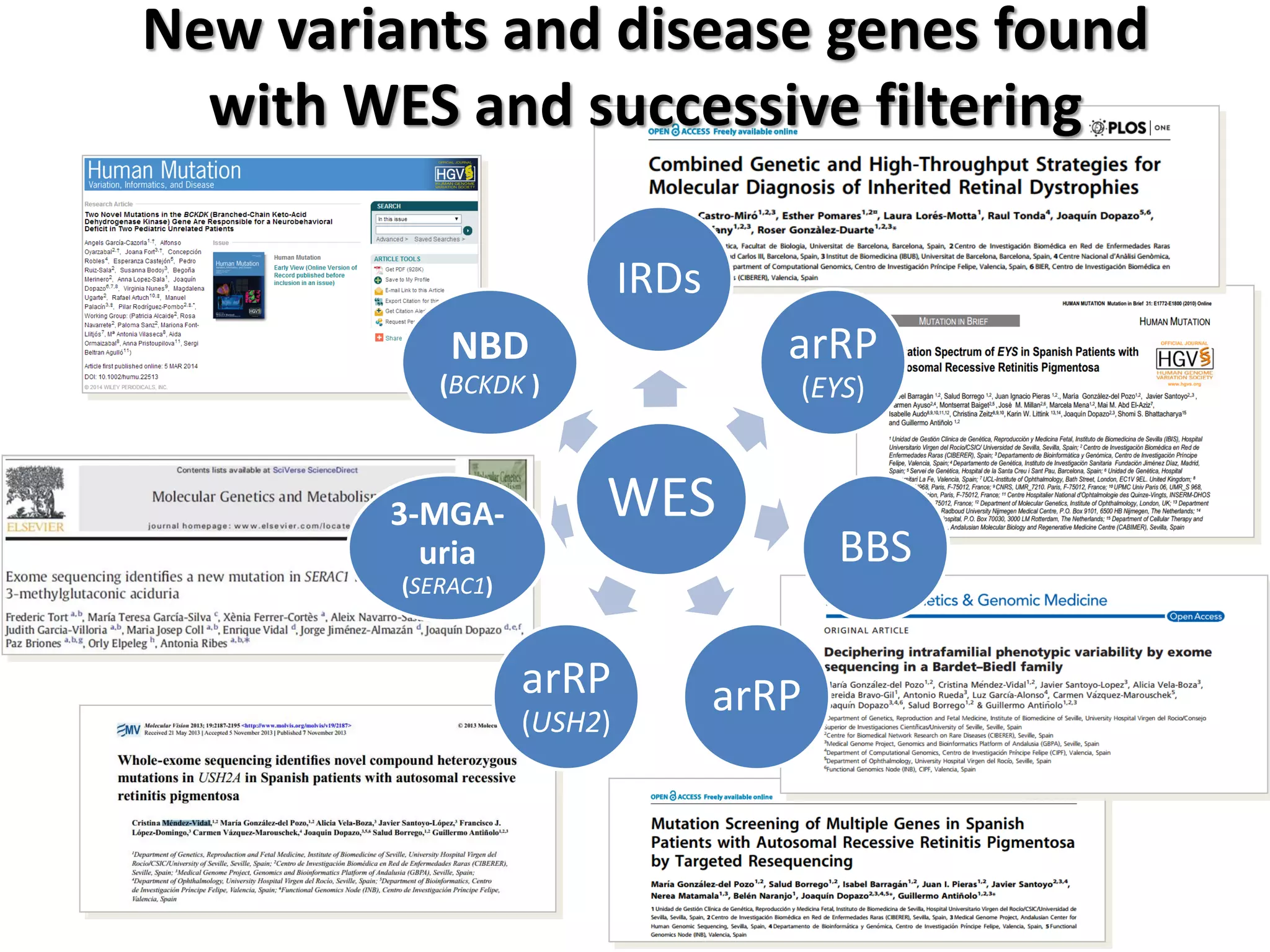 New variants and disease genes found with WES and successive filtering 
WES 
IRDs 
arRP (EYS) 
BBS 
arRP 
arRP (USH2) 
3-MGA- uria (SERAC1) 
NBD (BCKDK )  