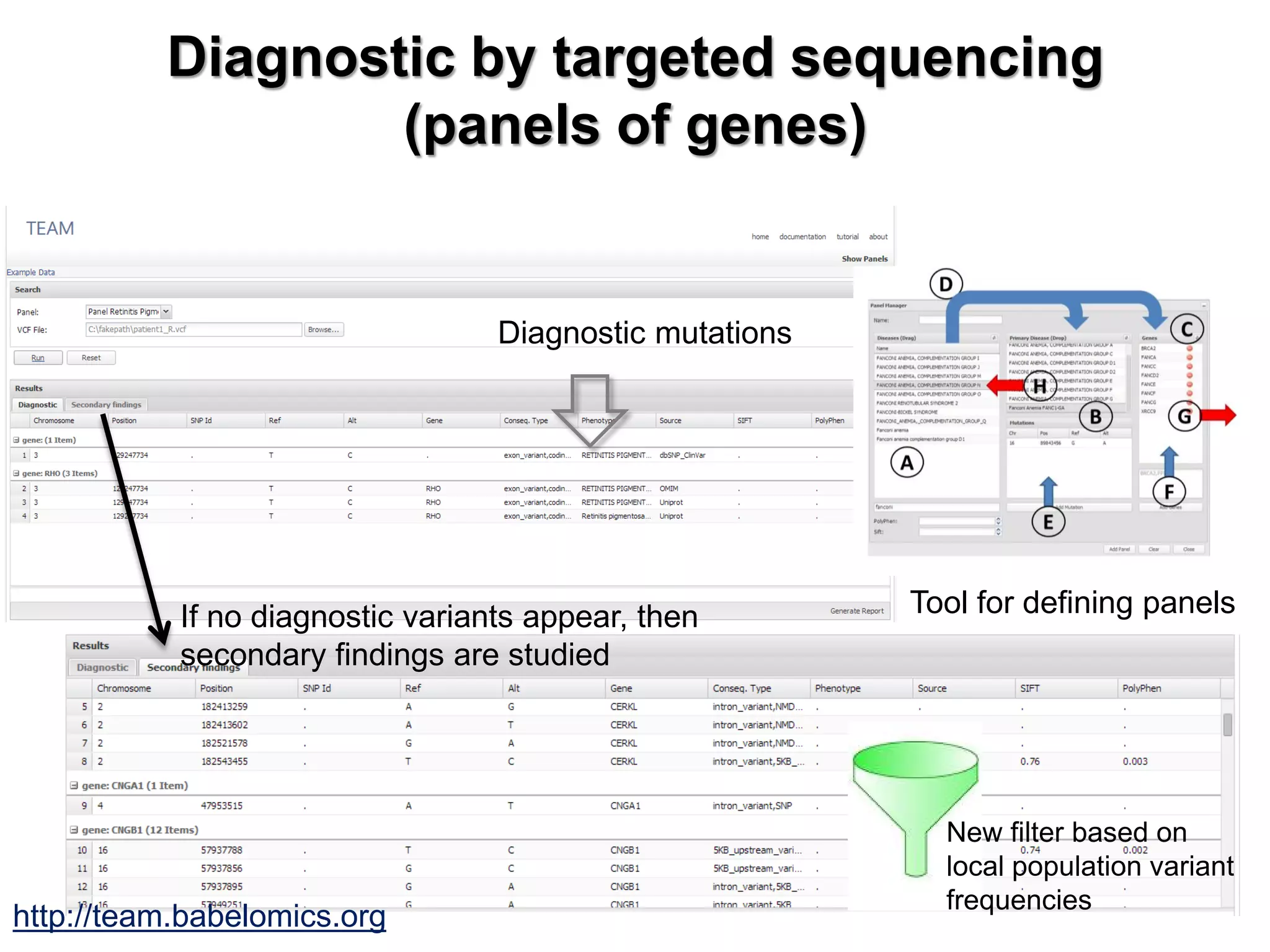 Diagnostic by targeted sequencing (panels of genes) 
Tool for defining panels 
New filter based on local population variant frequencies 
If no diagnostic variants appear, then secondary findings are studied 
Diagnostic mutations 
http://team.babelomics.org  