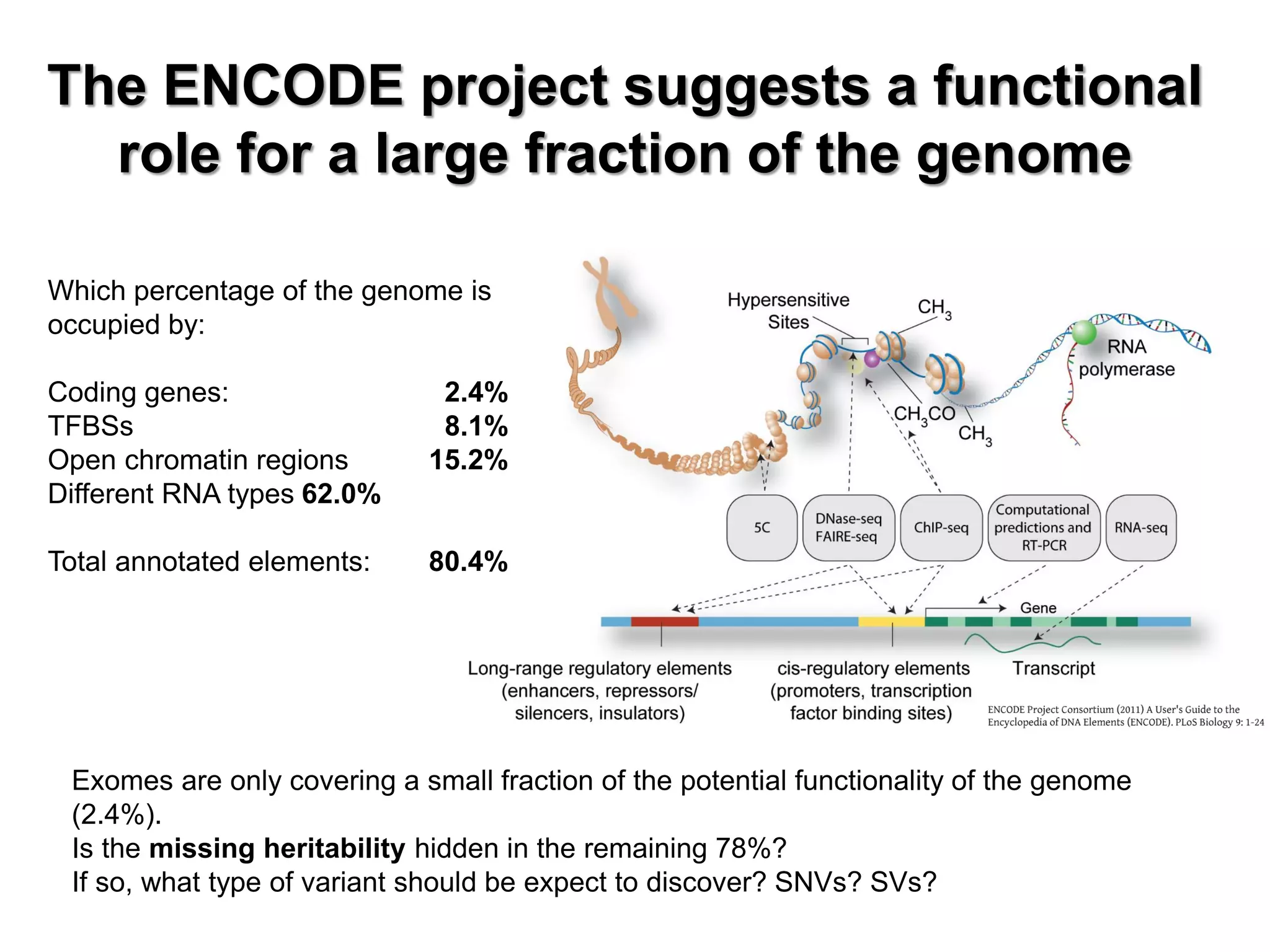 The ENCODE project suggests a functional 
role for a large fraction of the genome 
Which percentage of the genome is 
occupied by: 
Coding genes: 2.4% 
TFBSs 8.1% 
Open chromatin regions 15.2% 
Different RNA types 62.0% 
Total annotated elements: 80.4% 
Exomes are only covering a small fraction of the potential functionality of the genome 
(2.4%). 
Is the missing heritability hidden in the remaining 78%? 
If so, what type of variant should be expect to discover? SNVs? SVs? 
 