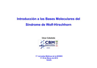 Introducción a las Bases Moleculares del
     Síndrome de Wolf-Hirschhorn



                  César Cobaleda



                        MADRID




           1as Jornadas Médicas de la AESWH
                 17-18 de Marzo de 2012
                         Getafe
 