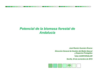 Potencial de la biomasa forestal de
Andalucía
José Ramón Guzmán Álvarez
Dirección General de Gestión del Medio Natural
y Espacios Protegidos
Taller AGRIFORVALOR
Sevilla, 24 de noviembre de 2016
 