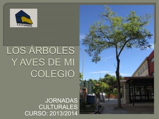 JORNADAS
CULTURALES
CURSO: 2013/2014

 