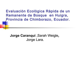Evaluaciòn Ecològica Ràpida de un
Remanente de Bosque en Huigra,
Provincia de Chimborazo, Ecuador.
Jorge Caranqui ,Sarah Weigle,
Jorge Lara.
 