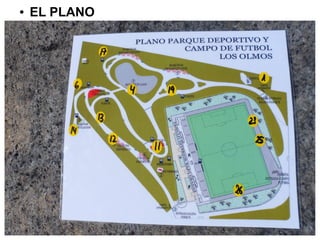 ●   EL PLANO
 