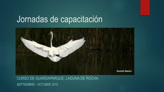 Jornadas de capacitación
CURSO DE GUARDAPARQUE, LAGUNA DE ROCHA
SEPTIEMBRE - OCTUBRE 2015
 