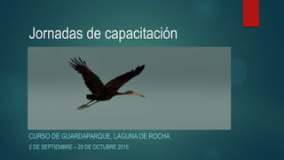 Jornadas de capacitación
CURSO DE GUARDAPARQUE, LAGUNA DE ROCHA
2 DE SEPTIEMBRE – 29 DE OCTUBRE 2016
 