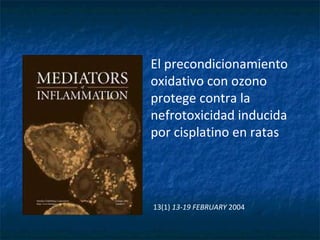 El precondicionamiento oxidativo con ozono protege contra la nefrotoxicidad inducida por cisplatino en ratas 13(1)  13-19 FEBRUARY  2004 