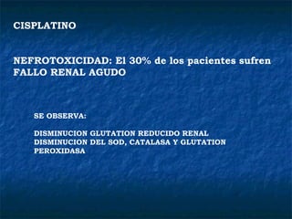 CISPLATINO  NEFROTOXICIDAD: El 30% de los pacientes sufren FALLO RENAL AGUDO SE OBSERVA: DISMINUCION GLUTATION REDUCIDO RENAL DISMINUCION DEL SOD, CATALASA Y GLUTATION PEROXIDASA 