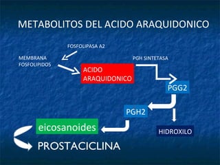 METABOLITOS DEL ACIDO ARAQUIDONICO FOSFOLIPASA A2 MEMBRANA  FOSFOLIPIDOS ACIDO  ARAQUIDONICO PGH SINTETASA PGG2 PGH2 HIDROXILO eicosanoides PROSTACICLINA 