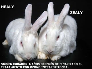 HEALY ZEALY SIGUEN CURADOS  6 AÑOS DESPUÉS DE FINALIZADO EL TRATAMIENTO CON OZONO INTRAPERITONEAL 