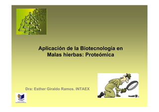Aplicación de la Biotecnología en
         Malas hierbas: Proteómica




Dra: Esther Giraldo Ramos. INTAEX
 