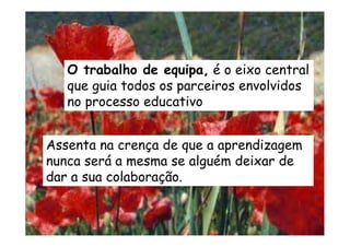 Assenta na crença de que a aprendizagem
nunca será a mesma se alguém deixar de
dar a sua colaboração.
O trabalho de equipa, é o eixo central
que guia todos os parceiros envolvidos
no processo educativo
 