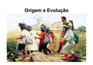 Origem e EvoluOrigem e Evoluççãoão
 