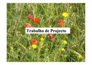Trabalho de ProjectoTrabalho de Projecto
 
