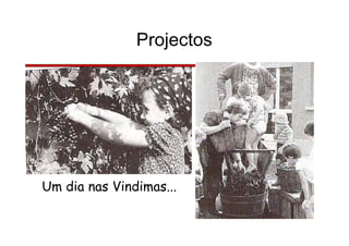 Projectos
Um dia nas Vindimas...
 