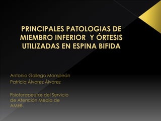 Antonio Gallego Mompeán
Patricia Álvarez Álvarez
Fisioterapeutas del Servicio
de Atención Media de
AMEB.
 