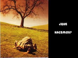 ¿Que
hacemos?