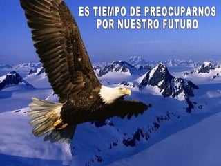 El Maravilloso Mundo Animal