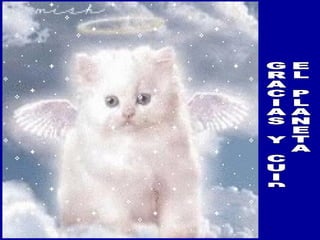 El Maravilloso Mundo Animal