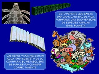 ESTO PERMITE QUE EXISTA
                             UNA GRAN CANTIDAD DE VIDA.
                            FORMANDO UNA BIODIVERSIDAD
                                DE ESPECIES AMPLIAS
                                   EN EL PLANETA




LOS SERES VIVOS NECESITAN
AGUA PARA SUBSISTIR DE LO
CONTRARIO SU METABOLISMO
  DEJARIA DE FUNCIONMAR
     CORRECTAMENTE
 