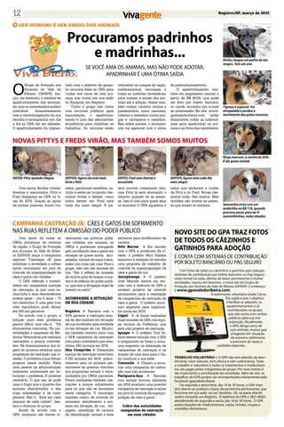 Registro/SP, março de 201512
Procuramos padrinhos
e madrinhas...
Ser humano é ser amigo dos animais
SE VOCÊ AMA OS ANIMAIS, MAS NÃO PODE ADOTAR,
APADRINHAR É UMA ÓTIMA SAÍDA
O
Grupo de Proteção aos
Animais do Vale do
Ribeira (GPAVR) lan-
çou, em fevereiro, o sistema de
apadrinhamento dos animais,
em que os interessados podem
contribuir financeiramente
com o cãozinho/gatinho de sua
escolha e acompanhar seu dia
a dia no GPA até ser adotado.
O apadrinhamento foi implan-
tado com o objetivo de garan-
tir recursos fixos ao GPA para
cuidar dos cerca de cem ani-
mais que vivem em sua sede
do Xangrilá, em Registro.
Como o grupo não conta
com recursos públicos para
manutenção, o apadrinha-
mento é uma das alternativas
econômicas para viabilizar os
trabalhos. Os recursos serão
utilizados na compra de ração,
medicamentos, vacinação e
todas as medidas necessárias
para manter a saúde dos ani-
mais até a adoção. Valem tam-
bém visitas, carinho, mimos e
presentinhos, como casinhas,
coleiras e remédios contra pul-
gas e carrapatos e ossinhos.
Nas redes sociais, o animalzi-
nho vai aparecer com o nome
Dinho chegou um palito de tão
magro. Tem um ano
Tigresa é especial. Foi
atropelada e perdeu o
movimento das patas traseiras
Ninja marrom, a rainha do GPA.
É ela quem manda
Samantha vivia com um
andarilho na BR-116, quando
precisou parar para ter 9
samanthinhos, todos doados
do padrinho/madrinha.
O apadrinhamento con-
siste em pagamento mensal a
partir de R$ 40,00, que pode
ser feito por boleto bancário
ou carnê, enviados por e-mail
ao interessado. No site www.
gpavaledoribeira.com estão
disponíveis todas as informa-
ções para apadrinhar os ani-
mais e as fotos dos candidatos.
Novas Pittys e Freds virão, mas também somos muitos
Com sarna, feridas, tristes,
doentes e assustados, Pitty e
Fred chegaram ao GPA no fi-
nal de 2014. Graças ao apoio
de muitas pessoas, foram tra-
tados, ganharam remédios, ca-
rinho e estão se tornando cãe-
zinhos fortes e felizes, como
todos devem ser. Fred está
cada dia mais alegre. E pa-
rece incrível comemorar isso,
mas Pitty já está abanando o
rabinho quando vê as pesso-
as. Isso é tudo para quem ama
os animais! O GPA agradece a
todos que ajudaram a cuidar
da Pitty e do Fred. Novas cãe-
zinhos virão. São muitos. Mas
também são muitas as pesso-
as que amam os animais.
ANTES: Pitty quando chegou DEPOIS: Agora ela está mais
forte e feliz
ANTES: Fred veio doente e
assustado
DEPOIS: Agora está cada dia
mais alegre
Com apoio de todas as
ONGs protetoras de animais
da região, o Grupo de Proteção
aos Animais do Vale do Ribei-
ra (GPAVR) lança a campanha
regional "Castração Já" para
mobilizar a sociedade a cobrar
ações municipais em prol do
controle da superpopulação de
cães e gatos nas cidades.
O GPA defende o investi-
mento em campanhas maciças
de castração, já que uma ca-
chorrinha e seus descendentes
podem gerar – em 6 anos – 73
mil cãezinhos. E uma gata com
vida reprodutiva pode deixar
até 240 mil gatinhos.
De acordo com o grupo, a
solução para esse problema
parece difícil, mas não é. “Há
alternativas concretas. Há uni-
versidades e empresas de Me-
dicina Veterinária que realizam
castrações a preços subsidia-
dos. Há financiamentos dos ór-
gãos do governo estadual para
programas de castração nas ci-
dades. O problema é que faltam
projetos nesse sentido. Falta
uma pessoa na administração
realmente interessada em so-
lucionar o problema. É possível
resolvê-lo. O que não se pode
mais é fingir que a questão dos
animais abandonados e das
crias indesejadas é de outro
planeta. Não é. Está em cada
esquina de cada cidade”, des-
taca a diretoria do grupo.
Ainda de acordo com o
GPA, enquanto não houver in-
vestimento em políticas públi-
cas voltadas aos animais, as
ONGs e protetores enxugarão
gelo recolhendo cães e gatos em
situação de quase morte, atro-
pelados, vítimas de maus tratos,
mães com crias nas ruas. Para o
grupo, eles não são animais de
rua. “São o reflexo da omissão
de muitos anos de braços cruza-
dos e do silêncio do poder públi-
co, que tem a obrigação legal de
investir no setor”.
Acompanhe a situação
de sua cidade
Registro > Parceria com o
GPA garante a castração men-
sal de dez animais em situação
de rua recolhidos pela entidade
ou em situação de rua. Municí-
pio também realizou junto com
o GPA campanha de castração
com preço subsidiado que este-
rilizou 240 animais em 2014.
Ilha Comprida > Campanha
maciça de castração esterilizou
2.182 animais em 2014 gratui-
tamente para os animais per-
tencentes às pessoas inscritas
nos programas sociais e enca-
minhados por ONGs parceiras.
Foram realizadas também cas-
trações a preços subsidiados
para os que não se encaixam
nesta categoria. O município
mantém centro de controle de
zoonoses, atendimento a ani-
mais em situação de rua, chi-
pagem, expedição de carteira
de identificação animal e área
exclusiva para recolhimento de
cavalos.
Sete Barras > Em reunião
com o GPA e protetores da ci-
dade, o prefeito Miro Kabata
anunciou a intenção de estudar
uma proposta de trabalho de
controle da superpopulação de
cães e gatos de rua.
Jacupiranga > O prefeito
José Macedo esteve em reu-
nião com a diretoria do GPA e
recebeu projetos de controle
permanente para a realização
de campanhas de castração de
cães e gatos. O prefeito anun-
ciou empenho para implantá-
los ainda em 2015.
Cajati > Já foram realizadas
duas reuniões do GPA com equi-
pe técnica da Prefeitura, que
está com projetos de castração.
Iguape > O prefeito Toni Ri-
beiro esteve reunido com o GPA
e integrantes da Gaari e anun-
ciou empenho na realização de
campanhas de castração e na
doação de uma área para o Ga-
ari construir a sua sede.
Cananéia > Chegou a anun-
ciar uma campanha de castra-
ção, mas não aconteceu.
Pariquera-Açu > Reunião
com equipe técnica realizada
em 2014 sinalizou uma possível
campanha de castração e ações
em prol do controle da superpo-
pulação de cães e gatos.
Cobre das autoridades
campanhas de castração
em suas cidades.
Com fotos de todos os cãezinhos e gatinhos para adoção,
sistemas de contribuição por boleto bancário ou Pag Seguro,
visita virtual na sede, ofertas do bazar permanente e muitas
novidades, nasceu em fevereiro o novo site do Grupo de
Proteção aos Animais do Vale do Ribeira (GPAVR). O endereço
é www.gpavaledoribeira.com.
A webmaster voluntária Gisele Carva-
lho explica que o objetivo
é facilitar as adoções, os
apadrinhamentos e as
contribuições ao grupo,
que não conta com verbas
públicas para sua ma-
nutenção. Atualmente,
o GPA abriga cerca de
cem animais, muitos que
chegaram em situação
de extremo sofrimento
e precisam de ração e
cuidados especiais.
TRABALHO VOLUNTÁRIO > O GPA não tem plantão de aten-
dimento, nem viaturas, nem clínica e nem veterinários. Todo
o trabalho é voluntário e todos os tratamentos e medicamen-
tos são pagos pelos integrantes do grupo. Por esse motivo é
tão importante a contribuição da sociedade. Além do site, os
trabalhos do GPA podem ser acompanhados diariamente pelo
facebook gpavaledoribeira.
De segunda a sexta-feira, das 14 às 18 horas, o GPA man-
tém aberto ao público o bazar da pechincha permanente, que
funciona em sua sede, na rua Tanzânia , 95, na parte alta do
Jardim Xangrilá, em Registro. O telefone do GPA é 3821-8082,
atendimento de segunda a sexta, das 14 às 18 horas. O GPA
aceita doações de medicamentos, ração, móveis, roupas e
utensílios domésticos.
Campanha Castração Já: CÃES E GATOS EM SOFRIMENTO
NAS RUAS REFLETEM A OMISSÃO DO PODER PÚBLICO Novo site do GPA traz fotos
de todos os cãezinhos e
gatinhos para adoção
E CONTA COM SISTEMAS DE CONTRIBUIÇÃO
POR BOLETO BANCÁRIO OU PAG SEGURO
 
