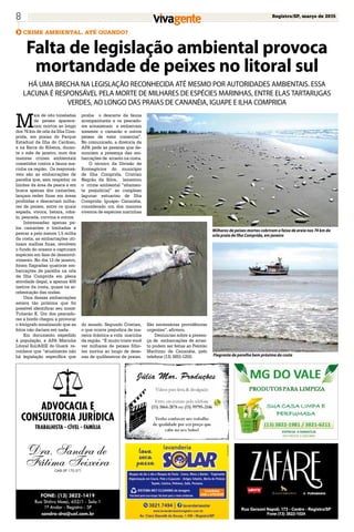 Registro/SP, março de 20158
CRIME AMBIENTAL. ATÉ QUANDO?
Falta de legislação ambiental provoca
mortandade de peixes no litoral sul
HÁ UMA BRECHA NA LEGISLAÇÃO RECONHECIDA ATÉ MESMO POR AUTORIDADES AMBIENTAIS. ESSA
LACUNA É RESPONSÁVEL PELA MORTE DE MILHARES DE ESPÉCIES MARINHAS, ENTRE ELAS TARTARUGAS
VERDES, AO LONGO DAS PRAIAS DE CANANÉIA, IGUAPE E ILHA COMPRIDA
M
ais de oito toneladas
de peixes aparece-
ram mortos ao longo
dos 74 km de orla da Ilha Com-
prida, em praias do Parque
Estadual da Ilha do Cardoso,
e na Barra do Ribeira, duran-
te o mês de janeiro, num dos
maiores crimes ambientais
cometidos contra a fauna ma-
rinha na região. Os responsá-
veis são as embarcações de
parelha que, sem respeitar os
limites da área de pesca e em
busca apenas dos camarões,
lançam redes finas em áreas
proibidas e descartam milha-
res de peixes, entre os quais
espada, vivoca, betara, roba-
lo, pescada, curvina e outros.
Interessadas apenas pe-
los camarões e limitadas a
pescar a pelo menos 1,5 milha
da costa, as embarcações uti-
lizam malhas finas, revolvem
o fundo do oceano e capturam
espécies em fase de desenvol-
vimento. No dia 13 de janeiro,
foram flagradas quatorze em-
barcações de parelha na orla
da Ilha Comprida em plena
atividade ilegal, a apenas 400
metros da costa, quase na ar-
rebentação das ondas.
Uma dessas embarcações
estava tão próxima que foi
possível identificar seu nome:
Tubarão K. Um dos pescado-
res a bordo chegou a provocar
o fotógrafo sinalizando que as
fotos não dariam em nada.
Em documento expedido
à população, a APA Marinha
Litoral Sul/ARIE do Guará re-
conhece que “atualmente não
há legislação específica que
proíba o descarte da fauna
acompanhante e os pescado-
res armazenam e embarcam
somente o camarão e outros
peixes de valor comercial”.
No comunicado, a diretoria da
APA pede às pessoas que de-
nunciem a presença das em-
barcações de arrasto na costa.
O técnico da Divisão de
Econegócios do município
de Ilha Comprida, Cristian
Negrão da Silva, lamentou
o crime ambiental “altamen-
te prejudicial” ao complexo
lagunar estuarino de Ilha
Comprida- Iguape- Cananéia,
considerado um dos maiores
viveiros de espécies marinhas
Milhares de peixes mortos cobriram a faixa de areia nos 74 km da
orla praia de Ilha Comprida, em janeiro
Flagrante de parelha bem próxima da costa
do mundo. Segundo Cristian,
o que ocorre prejudica de ma-
neira drástica a vida marinha
da região. “É muito triste você
ver milhares de peixes filho-
tes mortos ao longo de deze-
nas de quilômetros de praias.
São necessárias providências
urgentes”, afirmou.
Denúncias sobre a presen-
ça de embarcações de arras-
to podem ser feitas ao Pelotão
Marítimo de Cananéia, pelo
telefone (13) 3851-1250.
 