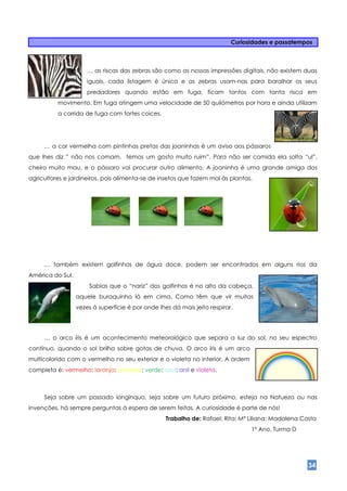 Curiosidades e passatempos



                      … as riscas das zebras são como as nossas impressões digitais, não existem duas
                      iguais, cada listagem é única e as zebras usam-nas para baralhar os seus
                      predadores quando estão em fuga, ficam tontos com tanta risca em
          movimento. Em fuga atingem uma velocidade de 50 quilómetros por hora e ainda utilizam
          a corrida de fuga com fortes coices.




     … a cor vermelha com pintinhas pretas das joaninhas é um aviso aos pássaros
que lhes diz ” não nos comam, temos um gosto muito ruim”. Para não ser comida ela solta “ul”,
cheiro muito mau, e o pássaro vai procurar outro alimento. A joaninha é uma grande amiga dos
agricultores e jardineiros, pois alimenta-se de insetos que fazem mal às plantas.




     … também existem golfinhos de água doce, podem ser encontrados em alguns rios da
América do Sul.
                      Sabias que o “nariz” dos golfinhos é no alto da cabeça,
                  aquele buraquinho lá em cima. Como têm que vir muitas
                  vezes à superfície é por onde lhes dá mais jeito respirar.




     … o arco íris é um acontecimento meteorológico que separa a luz do sol, no seu espectro
contínuo, quando o sol brilha sobre gotas de chuva. O arco íris é um arco
multicolorido com o vermelho no seu exterior e o violeta no interior. A ordem
completa é: vermelho; laranja; amarelo; verde; azul; anil e violeta.



     Seja sobre um passado longínquo, seja sobre um futuro próximo, esteja na Natueza ou nas
invenções, há sempre perguntas à espera de serem feitas. A curiosidade é parte de nós!
                                                   Trabalho de: Rafael; Rita; Mª Liliana; Madalena Costa
                                                                                 1º Ano, Turma D




                                                                                                     34
 