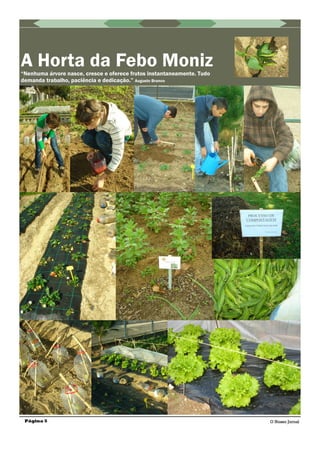 A Horta da Febo Moniz“Nenhuma árvore nasce, cresce e oferece frutos instantaneamente. Tudo
demanda trabalho, paciência e dedicação.” Augusto Branco
Página 5 O Nosso Jornal
 