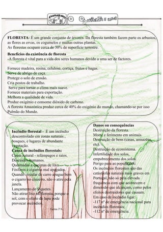 FLORESTA- É um grande conjunto de árvores. Da floresta também fazem parte os arbustos,
as flores as ervas, os cogumelos e muitas outras plantas.
As florestas ocupam cerca de 30% de superfície terrestre.
Benefícios da existência de floresta
- A floresta é vital para a vida dos seres humanos devido a uma ser de factores.

Fornece madeira, resina, celulose, cortiça, frutos e bagas.
Serve de abrigo de caça.
Protege o solo de erosão.
Cria postos de trabalho.
Serve para tornar o clima mais suave.
Fornece materiais para exportação.
Melhora a qualidade de vida.
Produz oxigénio e consome dióxido de carbono.
A floresta Amazónica produz cerca de 40% do oxigénio do mundo, chamando-se por isso
Pulmão do Mundo.


                                                       Danos ou consequências
  Incêndio florestal - É um incêndio                   Destruição da floresta.
  descontrolado em zonas naturais ,                    Morte e ferimento em animais.
  bosques, e lugares de abundante                      Destruição de bens (casas, armazéns,
  vegetação.                                           etc).
  Causa de incêndios florestais:                       Destruição de ecossistema.
  Causa natural - relâmpagos e raios.                  Infertilidade dos solos,
  Descuidos humanos.                                   empobrecimento dos solos.
  Queimadas e queimas de lixo.                         Perigo para as populações.
  Fósforos e cigarros mal apagados.                    Os incêndios florestais são das
  Quando circular de carro apague bem                  catástrofes naturais mais graves em
  o cigarro no cinzeiro, não o atire pela              Portugal, não só pela elevada
  janela.                                              frequência com que acontecem e
  Lançamento de foguetes.                              dimensão que alcançam, como pelos
  Não atirar lixo na floresta, porque o                efeitos destruidores que causam.
  sol, com o efeito de lupa pode                       Em caso de incêndio ligar:
  provocar incêndios.                                  -117 nº de emergência nacional para
                           Turma 3ºA
                                                       incêndios florestais;
                                                       -112 nº de emergência.
 
