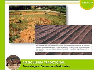 AGRICULTURA TRADICIONALDesvantagens: Causa a erosão dos solos
