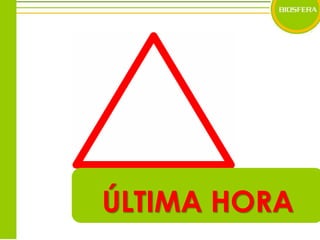 ÚLTIMA HORA