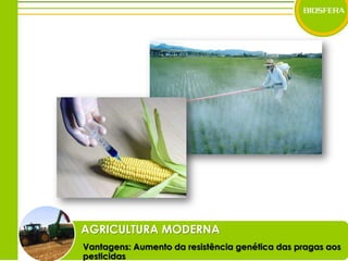 AGRICULTURA MODERNAVantagens: Aumento da resistência genética das pragas aos pesticidas