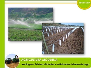 AGRICULTURA MODERNAVantagens: Existem eficientes e sofisticados sistemas de rega