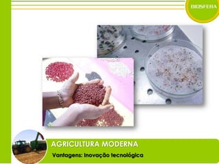 AGRICULTURA MODERNAVantagens: Inovação tecnológica