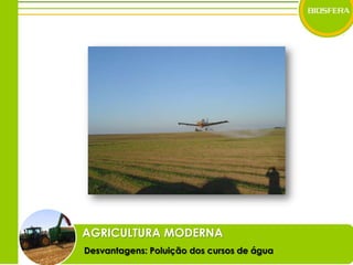 AGRICULTURA MODERNADesvantagens: Poluição dos cursos de água