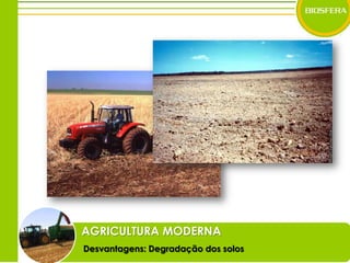 AGRICULTURA MODERNADesvantagens: Degradação dos solos