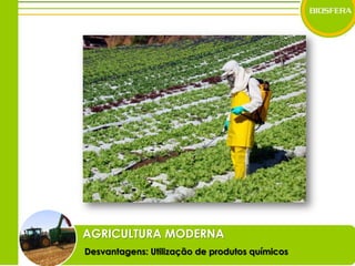 AGRICULTURA MODERNADesvantagens: Utilização de produtos químicos
