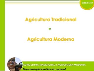 Agricultura TradicionaleAgricultura ModernaAGRICULTURA TRADICIONAL e AGRICULTURA MODERNA       Que consequências têm em comum?