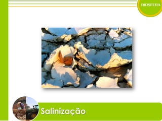 Salinização