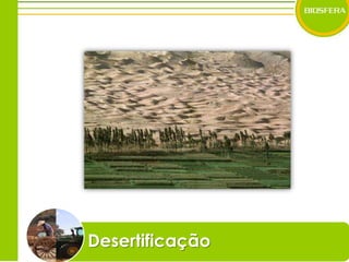 Desertificação
