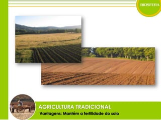 AGRICULTURA TRADICIONALVantagens: Mantém a fertilidade do solo