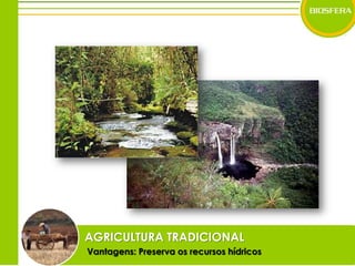 AGRICULTURA TRADICIONALVantagens: Preserva os recursos hídricos