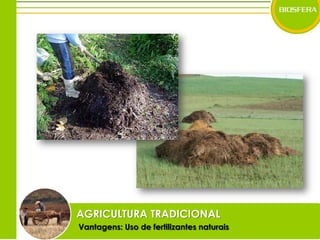 AGRICULTURA TRADICIONALVantagens: Uso de fertilizantes naturais