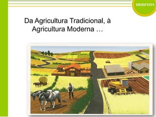 Da Agricultura Tradicional, à Agricultura Moderna … 