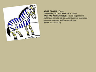 NOME COMUM:  Zebra.DISTRIBUIÇÃO  GEOGRÁFICA:  África.HÁBITOS  ALIMENTARES:  Pouco exigente em matéria de comida, ela se contenta com o capim ralo que cresce nessas regiões semi-áridas.PESO: 250 a 320 kg