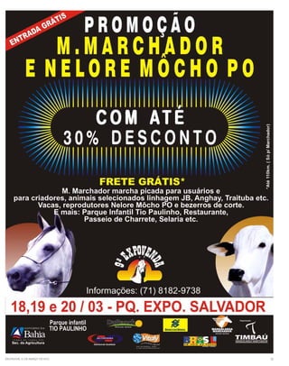 Salvador, 11 de março de 2011   19
 