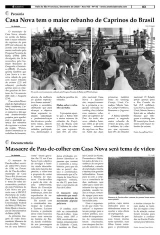Vale do São Francisco, Dezembro de 2010 - Ano VII - Nº 92 - www.anoticiadovale.com                                                  03

     Pecuária

Casa Nova tem o maior rebanho de Caprinos do Brasil
      Da Redação                                                                                                                                                      Fotos: Divulgação




    O município de
Casa Nova, situado
no sertão da Bahia,
tem o maior rebanho
de caprinos do país
(270 mil cabeças), de
acordo com levanta-
mento realizado pela
Pesquisa Pecuária da
Bahia (PPM) 2009,
divulgada, dia 24 de
novembro, pelo Ins-
tituto Brasileiro de
Geografia e Estatísti-
ca (IBGE). O estudo
aponta também que
Casa Nova é a ter-
ceira cidade do país
com maior rebanho
de ovinos (225 mil
cabeças), perdendo
apenas para as cida-
des gaúchas de San-
                         De acordo com levantamento realizado pela Pesquisa Pecuária da Bahia são 270 mil cabeças
tana do Livramento
(401 mil) e Alegrete
                         através da melhoria               melhoria genética do              nho nacional. Casa        primeiras também                nacional. O Estado
(239).
                         do padrão reprodu-                rebanho.                          Nova e Juazeiro           estão no ranking:               perde apenas para
    O secretário Muni-
                         tivo desses animais”,                                               são, respectivamen-       Curaçá, Uauá, Ca-               o Rio Grande do
cipal de Agricultura e
                         explica o secretário,             Dados sobre o reba-               te, a primeira e se-      nudos, Monte San-               Sul (3,9 milhões).
Meio Ambiente, Car-
                         afirmando que para                nho da Bahia                      gunda colocada no         to, Campo Formoso,              Casa Nova, Juazeiro,
los Castro comemora
                         alcançar o objetivo                                                 ranking das cidades       Remanso e Jaguara-              Uauá, Monte Santo e
os números e diz que
                         desse segmento re-                   A pesquisa apon-               com maiores reba-         ri.                             Ipirá são as cidades
está desenvolvendo
                         alizará capacitação               ta que a Bahia tem                nhos de caprinos do           A Bahia também              baianas que inte-
projetos para aperfei-
                         e profissionalização              o maior número de                 País. Ao todo, são        possui o segundo                gram o ranking dos
çoar a qualidade ge-
                         dos técnicos e produ-             rebanho de Capri-                 nove cidades baia-        maior rebanho de                20 municípios brasi-
nética dos rebanhos
                         tores rurais, através             nos do Brasil, com                nas entre as 20 com       ovinos do país, com             leiros com maior re-
de caprinos e ovinos
                         de cursos e outros                2,7 bilhões de cabe-              maiores    rebanhos       3 milhões de cabe-              banho de ovinos.
da região. “Preten-
                         métodos participati-              ças, que represen-                de caprinos no Bra-       ças, que represen-
demos intensificar os
                         vos, direcionados à               tam 30% do reba-                  sil. Além das duas        tam 18% do rebanho              Fonte: Ascom/Casa Nova
trabalhos de fomento,



     Documentário
Massacre de Pau-de-colher em Casa Nova será tema de vídeo
      Da Redação         vente” foram grava-               dessa produção, po-               Rio Grande do Norte,                                                         Foto: Google


                         das dia 13, em Casa               demos identificar as              Pernambuco e Bahia,
    O massacre de        Nova. Com o objetivo              pessoas que contam                foi palco de luta e re-
Pau-de-colher, ocorri-   de divulgar a histó-              e constroem a nossa               sistência de um povo
do entre 1937 e início   ria, ainda desconhe-              história, para que ela            trabalhador, cansado
de 1938, no Povoa-       cida pela maioria das             não se perca”, des-               de exploração, miséria
do de Pau-de-colher,     pessoas, o vídeo tem              taca o coordenador,               e injustiça dos grandes
município de Casa        a proposta de contar              informando que a Pa-              latifundiários. Foram
Nova -BA, divisa com     a história do mas-                róquia de Casa Nova               para lá com a certe-
Piauí e Pernambuco,      sacre Pau-de-colher               organizou romaria,                za e a consciência de
é tema de vídeo do-      a partir da vida de               no dia 13, para lem-              dias melhores, sem
cumentário, produzi-     uma     sobrevivente,             brar o movimento de               saber que a classe do-
do pela Prefeitura de    Maria da Conceição                Pau-de-Colher.                    minante iria agir sem
Casa Nova em par-        Andreza, e de suas                                                  piedade, usando to-
ceria com a SECULT       lembranças, além das              O massacre: uma                   das as forças, tentan-
(Secretaria de Cultu-    experiências de ou-               subversão que resul-              do apagar para sem-
ra da Bahia), Funda-     tros sobreviventes.               tou na destruição do              pre o que seria uma       Massacre de Pau-de-colher: centenas de pessoas foram mortas
                                                                                                                       neste episódio
ção Pedro Calmom,            De acordo com                 movimento popular                 sociedade justa.
Universidade Federal     o coordenador mu-                 pela terra                            Com o argumen-        polícia, cujos meios            e muitas crianças fo-
da Bahia (UFBA), Ins-    nicipal de Cultura                                                  to de que eram “fa-       utilizados para se              ram dadas às famí-
tituto Mauá e Associa-   e Turismo, Luciano                   O conflito, ocor-              náticos” e represen-      defenderem eram os              lias da região a títu-
ção de Documentários     Correia, a produção               rido na comunidade                tavam perigo para a       cacetes e uma dúzia             lo de adoção, outras
da Bahia (ADB).          desse vídeo funciona              Pau-de-Colher, Casa               ordem pública, acu-       de espingardas.                 foram levadas para
    As primeiras ima-    como uma reescrita                Nova, entre 1937 e                sados de simpatizan-          Centenas de pes-            Salvador e confina-
gens do vídeo docu-      da história do Bra-               1938, envolvendo ser-             tes do comunismo,         soas foram mortas               das na Escola Profis-
mentário: Massacre de    sil, dando visibilida-            tanejos remanescentes             foram chacinados,         neste episódio, suas            sional para Menores.
Pau-de-colher “Rela-     de aos personagens                de Caldeirão - Ceará,             com ataques das for-      filhas foram entre-
tos de uma Sobrevi-      excluídos. “Através               e também do Piauí,                ças do exército e da      gues a prostituição             Fonte: Ascom/Casa Nova
 