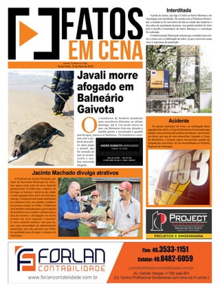 O
s bombeiros de Sombrio atenderam
uma ocorrência diferente no último
domingo, dia 8. Um javali estava no
mar, em Balneário Gaivota, durante a
manhã quente e ensolarada e quando
saía da água, atacava os banhistas. Os bombeiros conta-
ram com a aju-
da de pescado-
res para pegar
o animal, que
foi retirado do
mar já incons-
ciente e aca-
bou morrendo
afogado.
Jornal Correio do Sul
Terça-Feira, 10 de Abril de 2018
Javali morre
afogado em
Balneário
Gaivota
A ponte de arame, que liga o Centro ao bairro Barranca, em
Araranguá está interditada. De acordo com a Prefeitura Munici-
pal, a medida se fez necessária devido ao estado das madeiras e
dos cabos de sustentação da ponte, esse pedido também foi feito
pelo Conselho Comunitário do bairro Barranca e a interdição
foi realizada.
AAdministração Municipal salienta que a medida é provisó-
ria e conta com a colaboração de todos, já que a travessia causa
risco à segurança da população.
No pacato município de Ermo, na madrugada desta
segunda-feira,dia9,oCorpodeBombeirosfoiacionadopara
atender uma ocorrência de acidente de trânsito, envolvendo
um idoso, que caiu de uma motocicleta. Segundo o Corpo
de Bombeiros, o homem estava inconsciente quando da
chegada dos socorristas, ele foi encaminhando ao Hospital
Regional de Araranguá.
A Prefeitura de Jacinto Machado, por
meio da Secretaria Municipal de Turis-
mo, agora conta com um novo material
promocional. O folder tem o objetivo de
divulgar as belezas e atrativos da cidade
e nesta segunda-feira, dia 9, foi iniciada a
entrega. O material está sendo distribuído
no comércio local, nas cidades vizinhas e
nos pontos citados no folder.Afolheteria
será também utilizada para a participação
da prefeitura nos eventos voltados para a
área do turismo, e divulgação em outros
eventos em nível regional e nacional.
O novo material turístico vem para su-
prir uma necessidade da administração
municipal, que não possuía um folder
de qualidade para divulgar o turismo do
município.
Interditada
Acidente
Jacinto Machado divulga atrativos
 