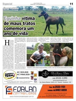 11Especial Jornal Correio do Sul
Quarta-Feira, 13 de Dezembro de 2017
Boas notícias
Eguinha vítima
de maus tratos
comemora um
ano de vida
H
á um ano,
em um dia
chuvoso,
membros
da ONG
Protetores dos Animais lu-
tavam contra o tempo para
salvar a vida de uma égua e
um filhote recém-nascido,
uma fêmea, que sofriam maus
tratos no bairro São Pedro,
em Sombrio. A égua não con-
seguia mais nem se levantar
de tanta fraqueza. O filhote,
além de estar muito fraco,
levou uma grande mordida de
um cachorro. Os dois animais
passaram fome e frio. Mas
Preta, moradora do bairro e
membro da ONG, ao ver a
situação de maus tratos que
passavam os animais, acionou
outroscolegas.Entreelasesta-
va Luciana. A Polícia Militar
também foi chamada. Foram
dois dias lutando pela vida dos
animais.Amãe não conseguiu
sobreviver, já a eguinha ficou
aos cuidados de Luciana, da
ONG.
Luciana Ferreira e seu
esposo Alex Rosso, ficaram
com o animal que chegou na
propriedade do casal muito
fraca e necessitando de cuida-
dos especiais. Foram meses de
dedicação, e a eguinha teve di-
reitoatéamamadeiraecafuné,
já que era arisca e tinha medo
de qualquer ser humano. Aos
poucos, com muito carinho,
foi ficando mais calma, tendo
uma relação junto aos outros
animais da propriedade, entre
eles cachorros, gatos, levando
uma vida harmônica e sendo
bem tratada.
Nesse mês, a eguinha
Estrela completou um ano.
Luciana faz questão de mos-
trar as fotos da evolução do
animal que hoje está saudável,
fazendo seus donos felizes e
sendo muito bem cuidada por
pessoas que amam os animais,
tendo uma vida bem diferente
Sombrio de milhares de outro bichos
que trabalham até a morte em
péssimas condições.
“Para nós, ver a Estrela
grande, bonita e saudável é
motivo de alegria e orgulho.
Só fizemos o que todas as
pessoas que têm animais tem
que fazer, e tratar bem. Eles
nos recompensam com todo
carinho e amor do mundo”,
comenta Luciana.
A esquerda, Luciana cuidando da égua ainda filhote, e à direita, o amor que contruíram juntas expresso em um abraço
 