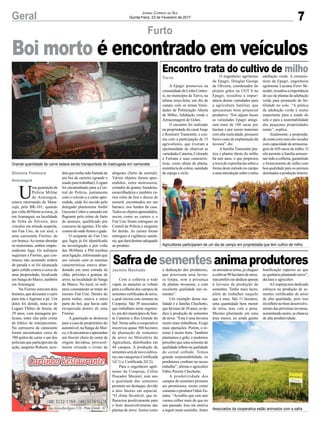 7Geral Jornal Correio do Sul
Quinta-Feira, 23 de Fevereiro de 2017
Furto
Gislaine Fontoura
Araranguá
U
ma guarnição da
Polícia Militar
de Araranguá,
estava retornando de Mara-
cajá, pela BR-101, quando
por volta 4h50min avistou, já
em Araranguá, na localidade
de Volta do Silveira, dois
veículos em atitude suspeita,
um Fiat Uno, de cor azul, e
uma camionete Fiorino, de
cor branca.Ao tentar abordar
os motoristas, ambos empre-
enderam fuga. Os militares
seguiram a Fiorino, que con-
tinuou não acatando ordem
de parada e só foi alcançada
após colidir contra a cerca de
uma propriedade, localizada
em Sanga do Marco, também
em Araranguá.
Na Fiorino estavam dois
homens,quedeixaramocarro
para trás e fugiram a pé. Um
deles foi detido, trata-se de
Logam Thibes de Souza, de
29 anos, com passagens po-
liciais, entre elas pelo crime
de tráfico de entorpecentes.
Na carroceria da camionete
foram encontrados cerca de
700 quilos de carne e um dos
policiais que participavam da
ação, sargento Robson, acre-
Boi morto é encontrado em veículos
dita que tenha sido furtada de
um boi de carreiro (grande e
usado para trabalhar). Logam
foi encaminhado para a Cen-
tral de Polícia, juntamente
com o veículo e a carne apre-
endida, onde foi ouvido pelo
delegado plantonista André
Gazzoni Coltro e autuado em
flagrante pelo crime de furto
de animais, qualificado por
concurso de agentes. Ele não
contou de onde furtou o gado.
O ocupante do Fiat Uno
que fugiu já foi identificado
na investigação e por volta
das 9h30min a PM recebeu
uma ligação, informando que
um veículo com as mesmas
características estava aban-
donado em uma estrada de
chão, próximo a granjas de
arroz, na localidade de Sanga
do Marco. No local, os mili-
tares constataram se tratar do
mesmo Fiat Uno. Dentro do
porta malas, estava a outra
parte do boi, que havia sido
recuperada dentro de uma
Fiorino.
A guarnição se deslocou
para a casa do proprietário do
automóvel, na Sanga do Mar-
co,eláencontroueapreendeu
um freezer cheio de carne de
origem duvidosa, provavel-
mente oriunda o crime de
abigeato (furto de animal).
Vários objetos foram apre-
endidos, entre motosserra,
cortador de grama, furadeira,
esmerilhadeira e também vá-
rios rolos de fios e discos de
esmeril, encontrados em um
barraco, nos fundos da casa.
Todos os objetos apreendidos,
assim como as carnes e o
Fiat Uno foram entregues na
Central de Polícia e ninguém
foi detido. As carnes foram
entregues à vigilância sanitá-
ria,quedarádestinoadequado
ao produto.
Jacinto Machado
Turvo
Safradesementesanimaprodutores
Encontro trata do cultivo de milho
Com a colheita a todo
vapor, as atenções se voltam
para a colheita dos campos de
sementescertificadasdearroz,
a qual iniciou esta semana na
Cooperja. São 39 associados
que trabalham neste segmen-
to, em dez municípios de San-
ta Catarina e Rio Grande do
Sul. Nesta safra a cooperativa
inscreveu quase 500 hectares
de plantação de sementes
de arroz no Ministério da
Agricultura, distribuídos em
48 campos. A produção de
sementesserádenovecultiva-
res, nas categorias Certificada
1(C1) e Certificada 2(C2).
Para o engenheiro agrô-
nomo da Cooperja, Célito
Pescador Mezzari, este ano
a qualidade das sementes
promete ser destaque, devido
a dois fatores em especial.
“O clima favorável, que in-
fluenciou positivamente para
o bom desenvolvimento das
plantas de arroz.Assim como
A Epagri promoveu na
comunidade de Linha Contes-
si, no município de Turvo, na
última terça-feira, um dia de
campo com os temas Varie-
dades de Polinização Aberta
de Milho, Adubação verde e
Armazenagem de Grãos.
O encontro foi realizado
na propriedade do casal Jorge
e Rosimeri Tramontin, e con-
tou com a participação de 15
agricultores, que tiveram a
oportunidade de observar as
variedadesCatarina,Colorado
e Fortuna e suas caracterís-
ticas, como altura de planta,
resistênciadecolmo, sanidade
de espiga e ciclo.
a dedicação dos produtores,
que priorizam uma lavou-
ra limpa, sem a presença
de plantas invasoras, e com
excelente qualidade nas se-
mentes”.
Um exemplo dessa rea-
lidade é a família Chechetto,
que há mais de 20 anos, se de-
dica à produção de sementes
de arroz. “Esta é uma lavoura
muito mais trabalhosa. Exige
mais operações. Porém, o re-
torno é muito bom. Também
plantamos o grão, e podemos
perceber que uma semente de
qualidade reflete na qualidade
do cereal colhido. Temos
grande responsabilidade, os
produtores confiam no nosso
trabalho”, afirma o agricultor
Fábio Pereira Chechetto.
A produtividade dos
campos de sementes promete
ser promissora, assim como
comenta o produtor Odair Za-
natta. “Acredito que este ano
vamos colher mais do que no
ano passado. Isso me motiva
a seguir neste caminho.Antes
O engenheiro agrônomo
da Epagri, Douglas George
de Oliveira, coordenador do
projeto grãos na UGT 8 na
Epagri, ressaltou a impor-
tância destas variedades para
a agricultura familiar, que
apresentam bom potencial
produtivo. “Em alguns locais
as variedades Epagri atingi-
ram mais de 100 sacas por
hectare e por serem materiais
com alta rusticidade, possuem
baixo custo de implantação da
lavoura”, diz.
A família Tramontin pra-
tica o plantio direto do milho
há sete anos, o que propiciou
a troca de experiências sobre a
forma deste método no campo
e uma introdução sobre o tema
euarrendavaterras,jácheguei
acultivar90hectaresdearroz,
maspreferimededicarapenas
à lavoura de produção de
sementes. Tenho mais lucro,
além de trabalhar naquilo
que é meu. São 11 hectares,
uma quantidade bem menor
de terra, mas vale a pena.
Mesmo plantando em uma
área menor, eu ainda ganho
adubação verde. A extensio-
nista da Epagri, engenheira
agrônoma Luciana Ferro Sh-
neider, ressaltou a importância
do uso de plantas de adubação
verde para promoção de fer-
tilidade no solo. “A prática
da adubação verde é muito
importante para a saúde do
solo e para a sustentabilidade
das pequenas propriedades
rurais’’, explica.
Atualmente, a proprieda-
de conta com uma silo secador
com capacidade de armazena-
gem de 430 sacos de milho. O
silo permite a família armaze-
nar todo a colheita, garantindo
o fornecimento de milho com
boa qualidade para os animais
destinados a produção leiteira.
Grande quantidade de carne estava sendo transportada de madrugada em camionete
Agricultores participaram de um dia de campo em propriedade que tem cultivo de milho
Associados da cooperativa estão animados com a safra
bonificação superior ao que
eu ganharia plantando arroz”,
declara o agricultor.
ACooperja tem dedicado
esforços na produção de se-
mentes certificadas de arroz
de alta qualidade, pois isso
irá refletir no bom desenvolvi-
mento das próximas lavouras,
aumentandoassim,aschances
de alta produtividade.
 